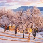 Copacii "beau" apă chiar și iarna: când și de ce este necesară udarea la rece Copacii „beau” apă chiar și iarna: când și de ce