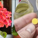 Costă un penny: un remediu de farmacie va reînvia toate