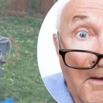 Descoperirea ciudată de lângă copac a lăsat vecinul nedumerit: ce secret ascundea Descoperirea ciudată de lângă copac a lăsat vecinul nedumerit: ce