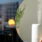 Experții au numit 5 locuri neașteptate în care nu ar trebui să puneți un umidificator Experții au numit 5 locuri neașteptate în care nu ar