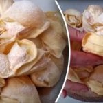 Nostalgia se va instala după prima mușcătură: rețetă pentru biscuiți fabuloși Shell Nostalgia se va instala după prima mușcătură: rețetă pentru biscuiți