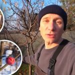 O acțiune care va proteja grădina: un grădinar a spus