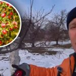 Reîntinerirea pomilor fructiferi bătrâni: trei pași simpli care vor readuce